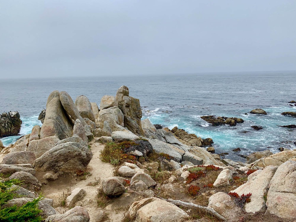 Photographed on the coast of Highway 17 in California, USA in 2022