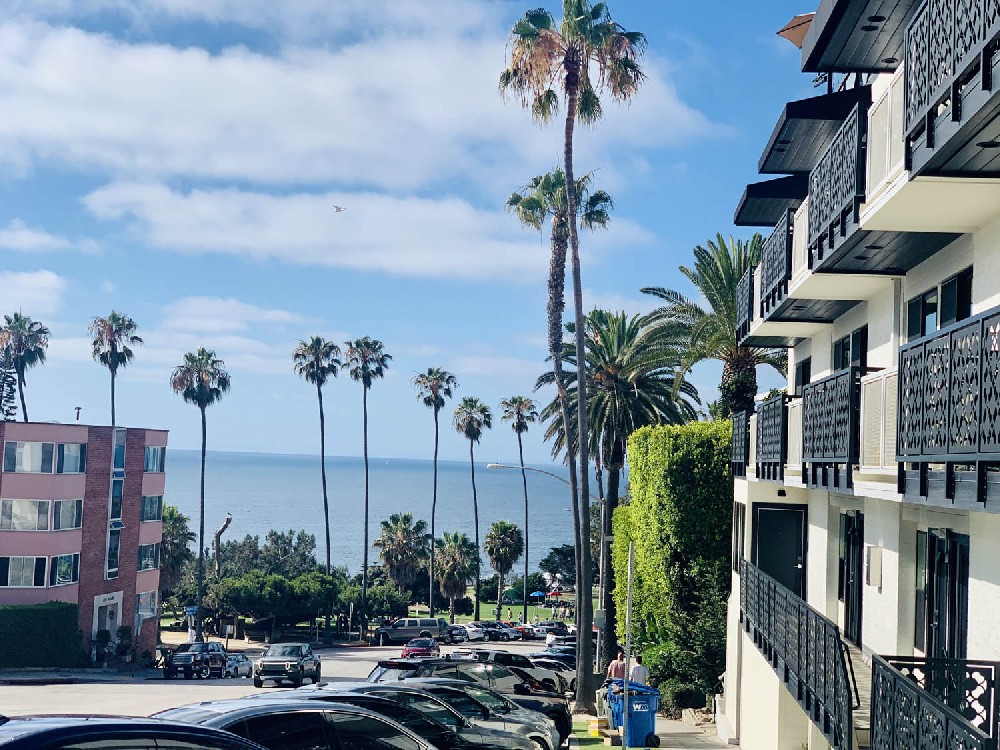 Photographed at La Jolla Beach in San Diego,USA in 2022