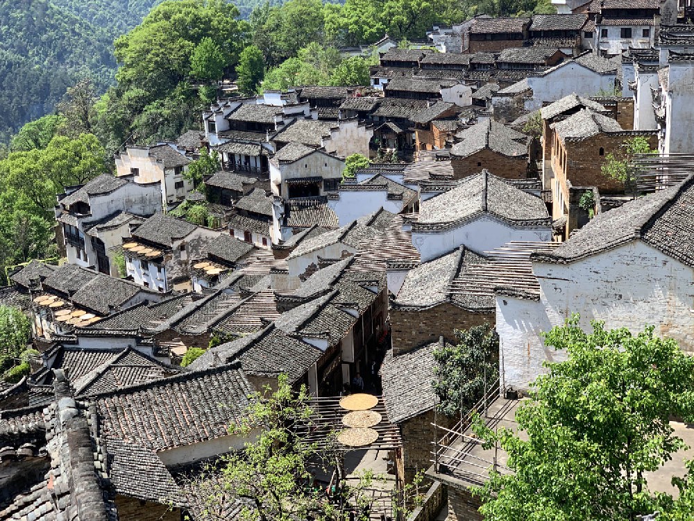 Photographed in Huangling, Wuyuan, Jiangxi in 2021