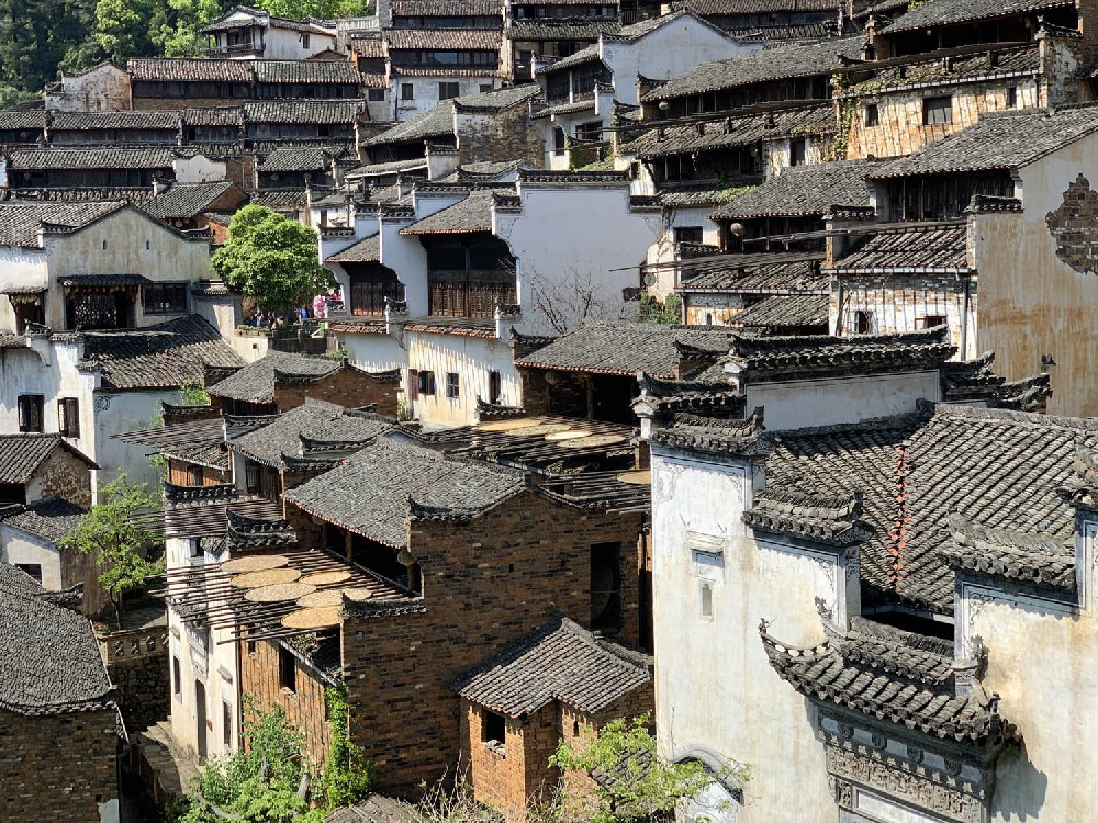 Photographed in Huangling, Wuyuan, Jiangxi in 2021