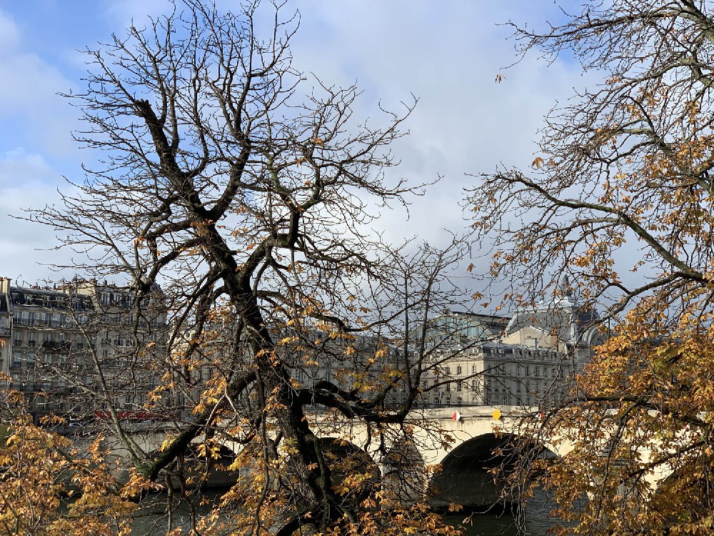 Photographed on the banks of the Seine in Paris, France in 2019